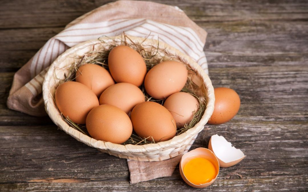 Uova biologiche, scopri i nostri prodotti