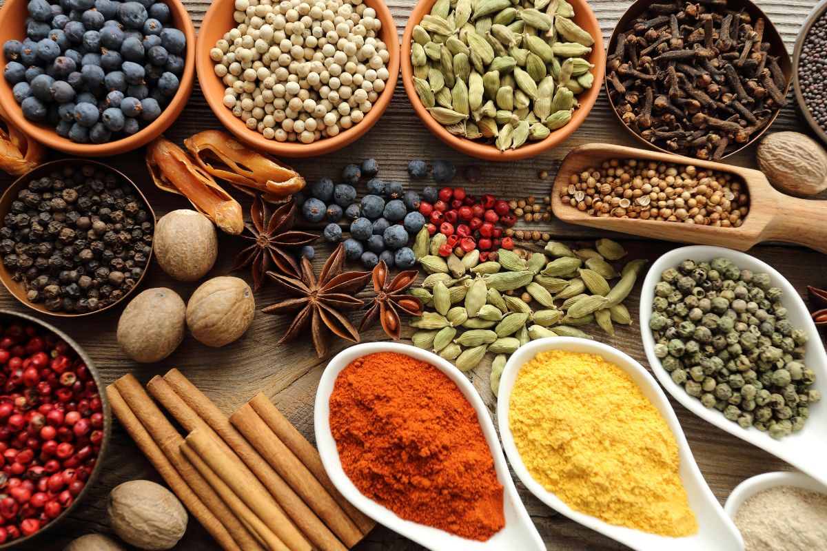 spezie primo montagner